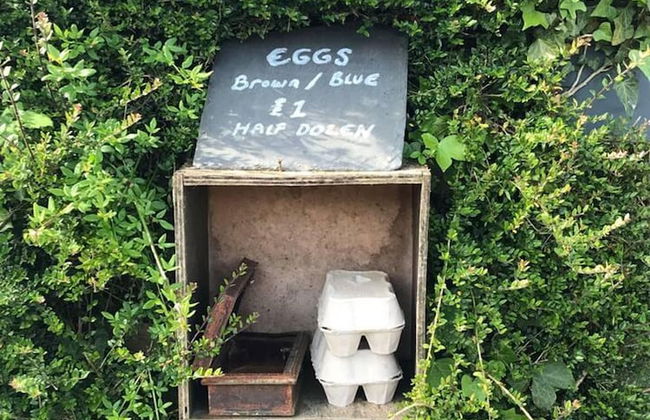 Dog Friendly Shepherd's Hut, Perfect for Couples - Photo 36