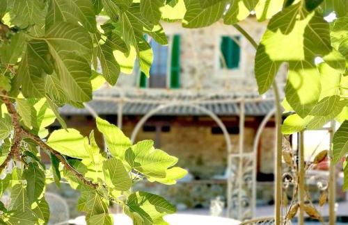 Fattoria Tolomei - Foto 15