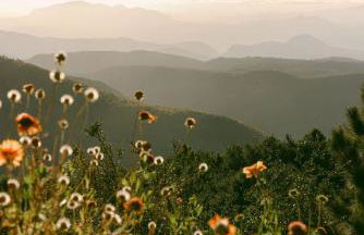 Wild Moon Ranch with Pickleball, Cedar Tub, Views - Foto 52