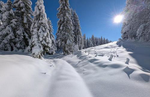 Le Chablis étoilé - Foto 9