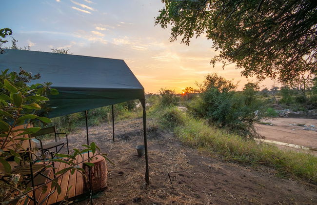 Kruger Untamed - Tshokwane River Camp - Photo 38