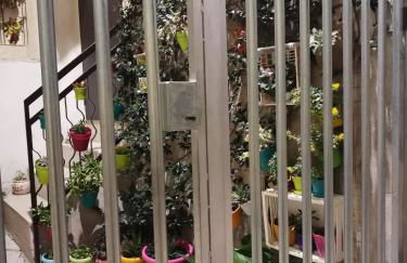 Le camelie - Foto 60