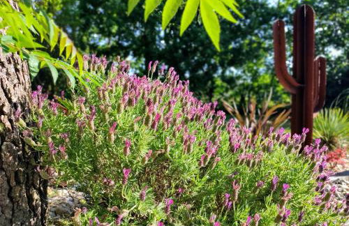 La Grange Océane SPA & Piscine chauffée en saison - Foto 46