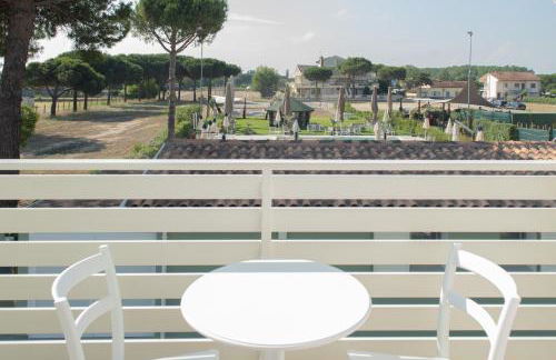 Fiori di Cardo - Agrimare - Foto 38