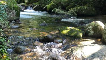 Casa na Castália-Cachoeiras de Macacu 10 min - Foto 5