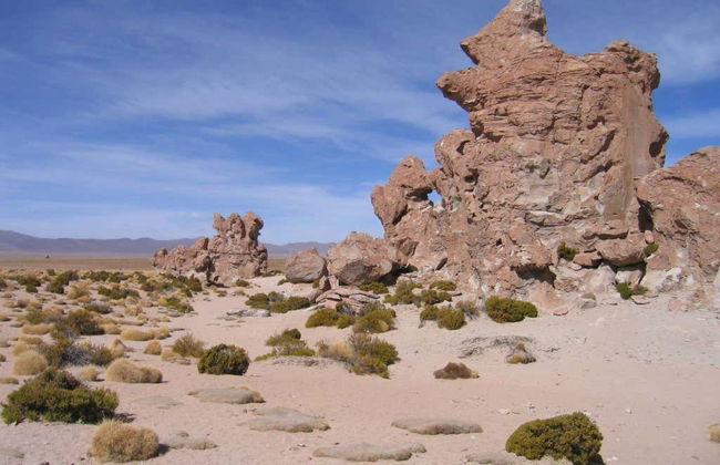 Tour di 4 giorni da Uyuni a La Paz - Foto 4