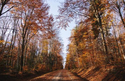 Odpoczynek Domki Pod Dębem z Opcją Jacuzzi - Foto 29