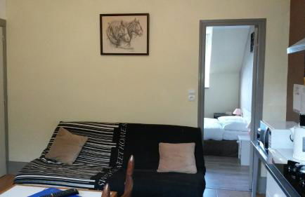 Les Buissonnets - Foto 51