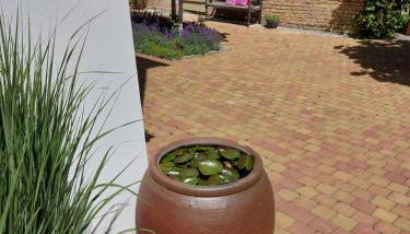 Villa Veda - Foto 3, Garden