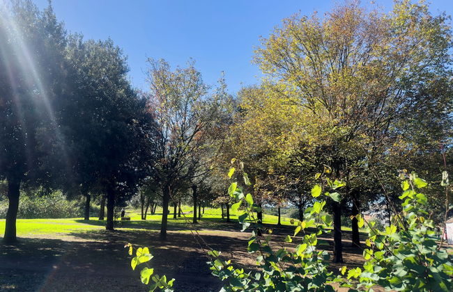 Caffarella Park Terraced 2Br Apartment - Foto 28