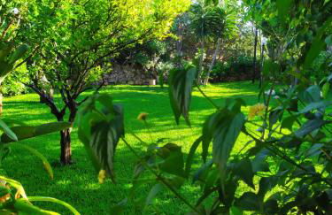 I Ciusiddi - Foto 23