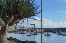 El Rincon del Mar - Foto 22