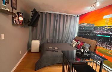 Downtown Boston Common Studio Theater District Chinatown Smart HDTV TD Garden Bruins Celtics Patriots - Foto 18