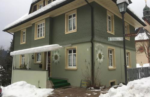 Haus Silberdistel - Foto 69