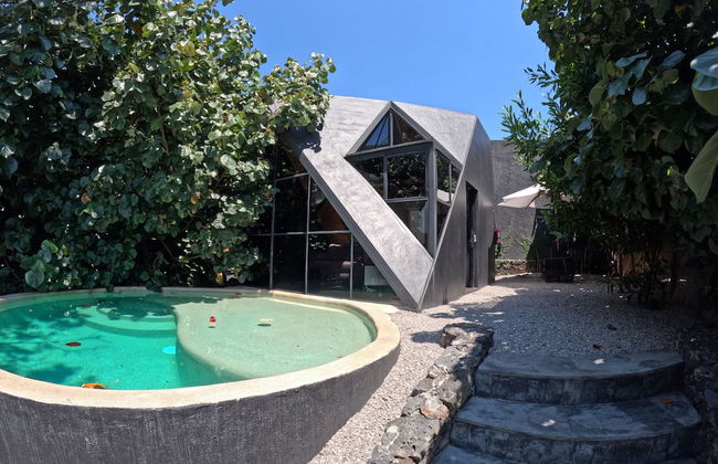 Bosque Geométrico - Foto 7