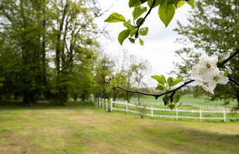 Obermühle Duderstadt - Foto 3