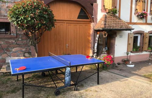 Maison pittoresque à Sainte-Croix-aux-Mines, vue sur la montagne - Foto 45