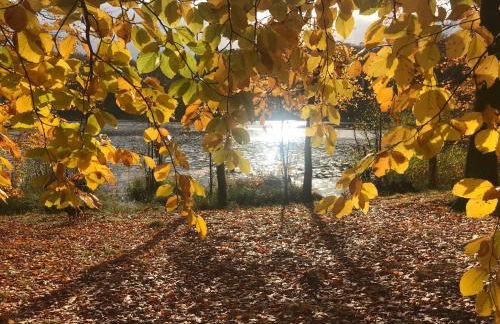 Ferienwohnung in Schmargendorf bei Angermünde - Foto 20