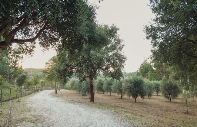 I Love Dão - Casas Da Fraga - Photo 30