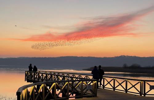 Ferienhaus Altes Fischerhaus - Foto 19