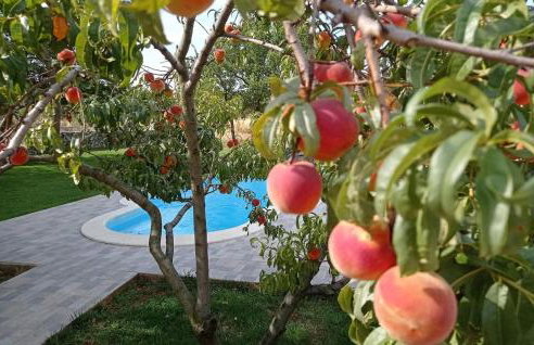 Holliday Home Konjevrate - Foto 20