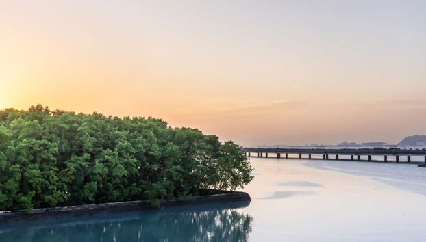 Lovely 1BR With Balcony in Panama - Foto 4, Habitación