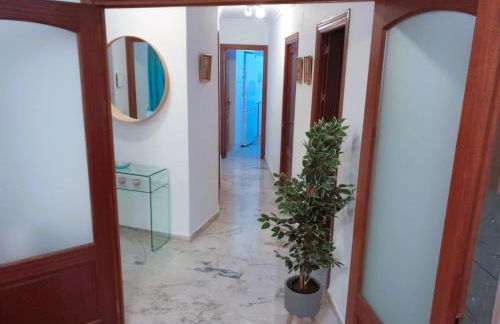 Plaza San Fernando - Foto 16