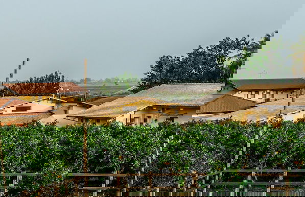 Il Giardino del sole - Foto 67