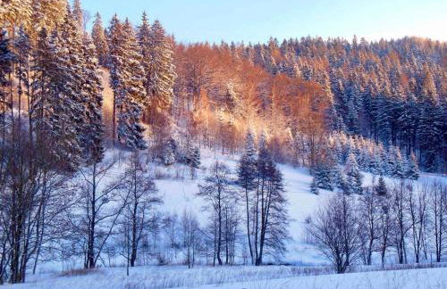 Apartament W Dolinie Modrzewi - Foto 26