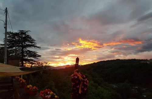 Filocase - What a view! - Foto 16