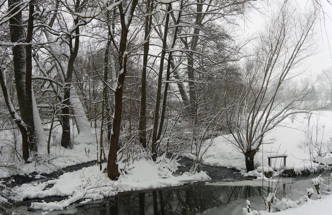 Spacious Holiday Home in the Teutoburg Forest - Foto 20
