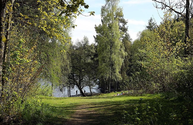 Ferienhaus Seeblick, Zemitz - Foto 15