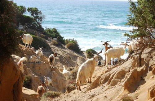 Turismo Rurale La Miniera Fiorita - Foto 69