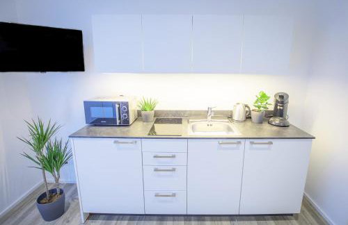 Freiburger-Ferienwohnung - Foto 3