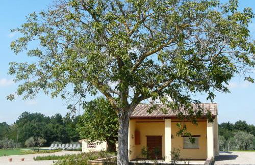 Villa Pian De Noci - Tenuta del Palagio - Foto 45