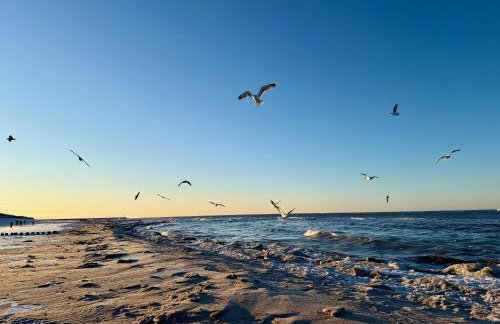 Miamare Dziwnow - Komfort Apartment, Panorama, Beach, Pool & Wellness - Foto 17