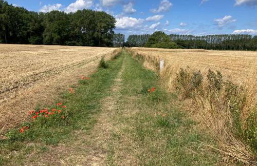 Gemütliche FeWo mit Balkon nahe der Ostsee - 2 Schlafzimmer - Foto 41