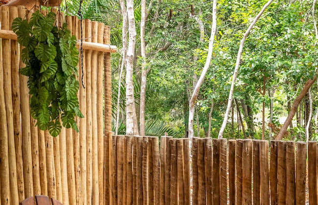 Casa Mar - Taipu de Fora - Photo 25