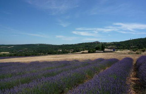 La Ferme l'Etang - Foto 11