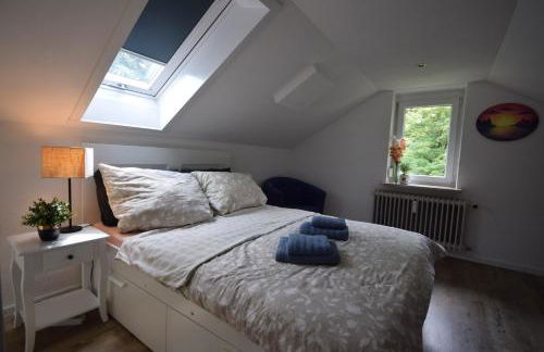 Bimax Neu renovierte, gemütl. 4 Zimmer Dachwohnung - Foto 1