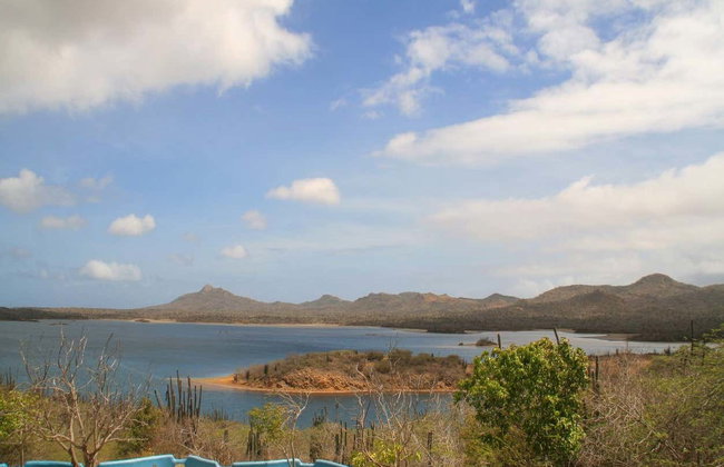 Tour del nord di Bonaire - Foto 6