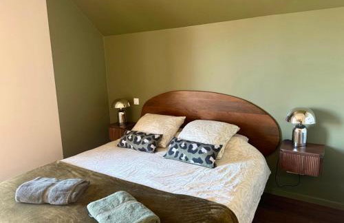 Magnifique maison 10 personnes à Loudenvielle - Foto 35