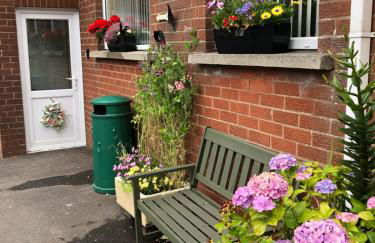 Old Egg Shop - Foto 11