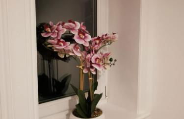 Stevenson Apartment in Oban City - Foto 20