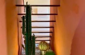 The Cliffs - OceanLight - Foto 33