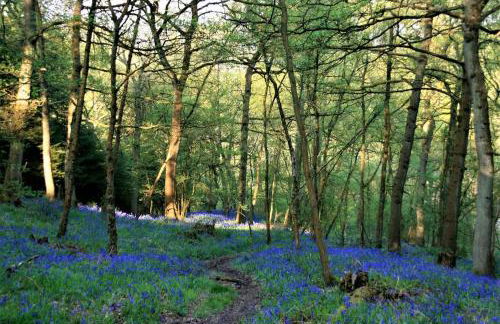 Gorgeous romantic cosy cottage retreat with views - Foto 47