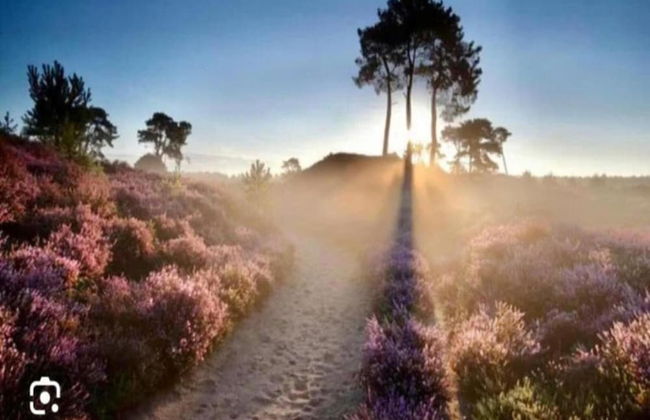 Bungalow With Fireplace, not far From Assen - Photo 27