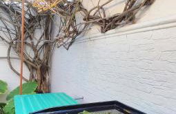 Dolce Vita Chiclana - Foto 12