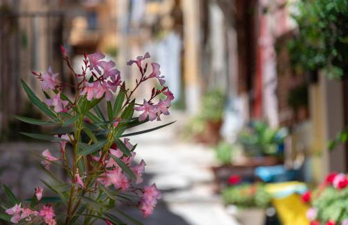 La mia deliziosa Casetta di giù - Foto 7