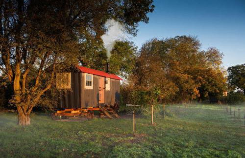 Wellbeing Orchard - Foto 11